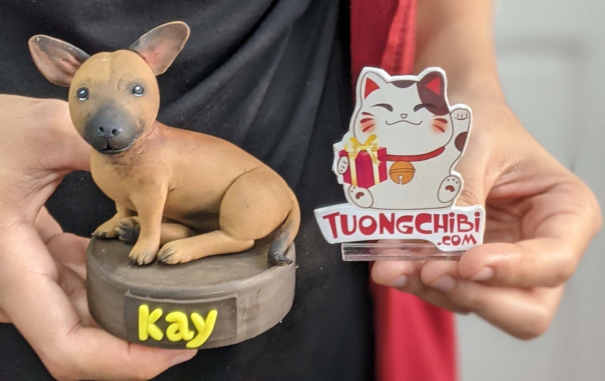 quà tặng thú cưng giá rẻ